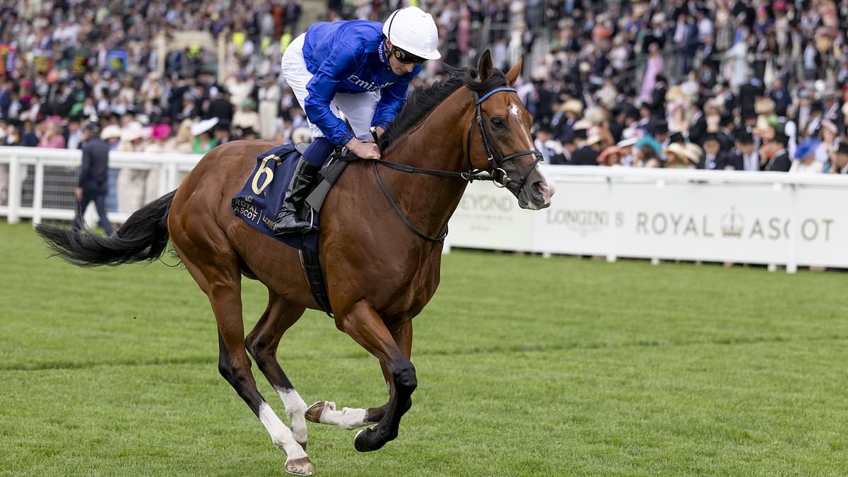 Juddmonte International clash can give beleaguered sport a timely boost as York's Ebor Festival is one to truly relish 1 95b4a8231cac128218475f336b308f103ded2617a6c443cc010fad0676e0bc15