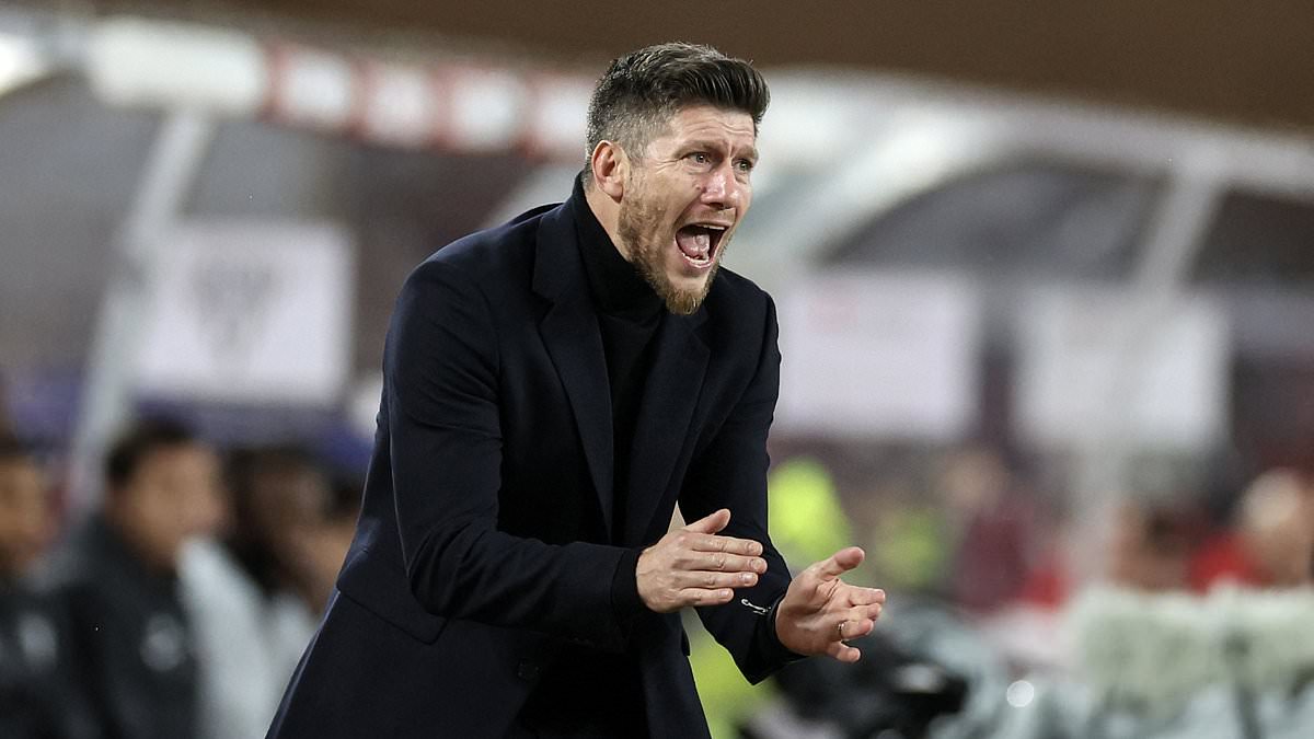 Young, foreign and full of adventure... new Scotland boss Sebastien Pocognoli is everything his predecessor wasn't 1 96aeecdd693e67f69146d392bb132b19a4c14e1a0f8ad53908c2d04c2c452df4