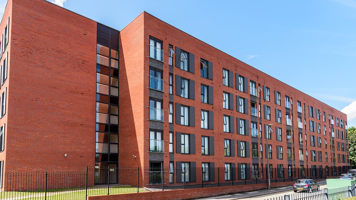 One in four flats up for sale are being offloaded by a landlord... but does anyone want to buy them? 1 97c0a7416b90f6488b2e562f9026461fc072f81d66a462fd2a3d80329d689842