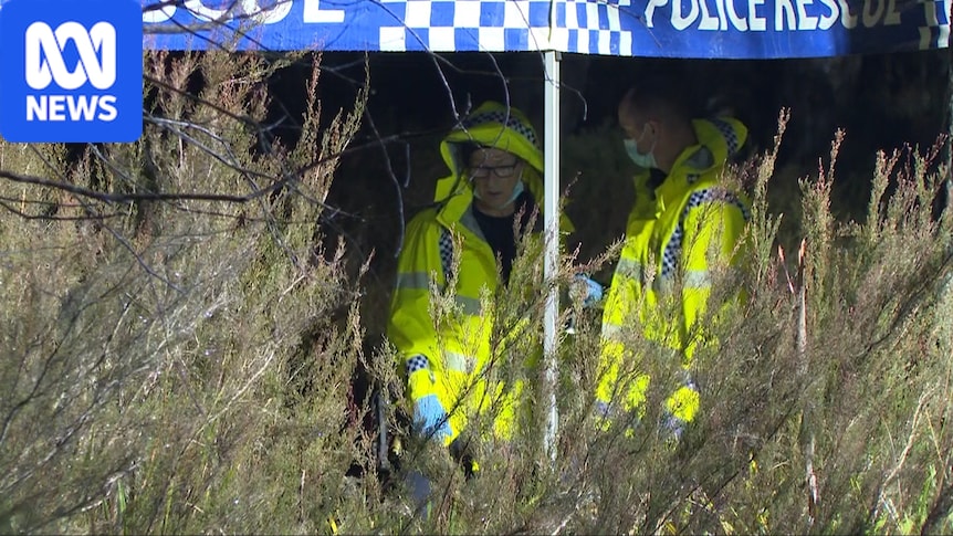 Why police took 20 hours to identify 'body' in suitcase as lifelike doll: It took more than 20 hours to establish suspected human remains found in a suitcase near Goulburn were actually a life-like doll. A forensic expert says the extraordinary case shows why investigators can't rush a potential crime scene. #ForensicScience #TrueCrime #CrimeScene #Investigation #LifelikeDoll 1 9aaaa6ad24cb5642380871d5d792c1dc292aa1a7