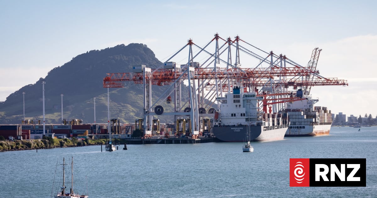Record $155m profit for Port of Tauranga 1 9db7d23c8201d41156c8f19275681de16f399fb88d1556fbe14bf4aa4965e694 1