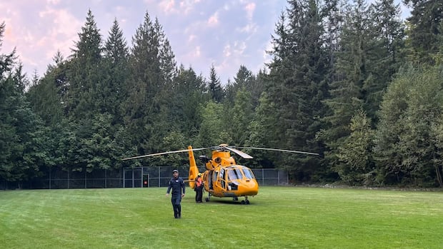 B.C. climber stung by wasps 100 times, rescued by helicopter 1 a3a18d16ff7d4a50ffdda44be218ba862809021458e92209f3da4538eba21f5c