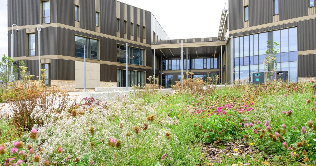 New Liberton High School welcomes pupils to sustainable Edinburgh community campus 1 aec0f4163f78c072300a1ec5f1e8eba344a80c7753384a49d9044bcc8826419e