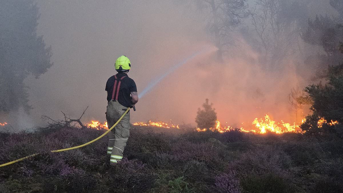 IAN BOTHAM: To stop even worse wildfires next year, Burnham has to stand up to the rewilding zealots NOW 1 b46e5b61df1459e158da9597014b0ca8a45089e25bba07bb36c909726b35beed