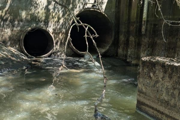 600million litres of sewage entering river flowing through London each year, shock study finds 1 be454e2ff7adaa4ff3ac9cbd41330f03a42cd6927b545be67fc1054a0bac2796