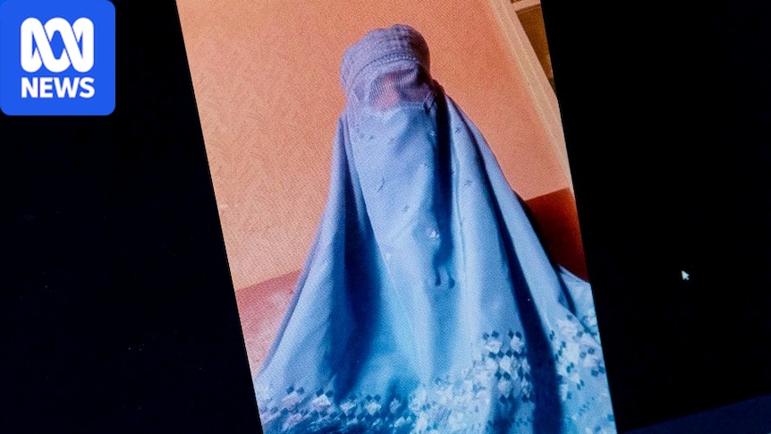 Azada wanted to be her country's 'best doctor', but then the Taliban took over 1 c584f43db0eba2843cdce12ed1f6719e6a11050dc1b9d7d06eca8fdbfa16c058