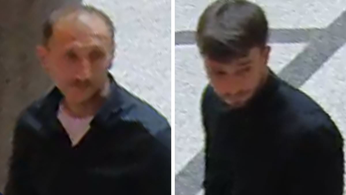 Jewel thieves steal £3million royal necklace containing 673 diamonds in daring smash-and-grab Vienna museum heist 1 c7023728ad0f53d98b5ede8cc3fe9e97544f189bb29a9166ef7158ba9171d68c