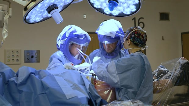 Nova Scotians wait over 500 ‘painful’ days for surgery consultations 1 cabd67c8ab887df6b3fd7f1ffe632068e1239050391c80f8161bf7a926496db9
