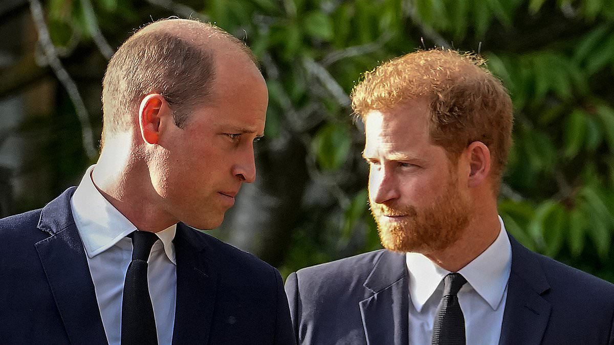 Could Harry and Meghan's return SPLIT the royal family into rival courts? RICHARD KAY warns Sussexes may assemble their own 'Praetorian guard' of A-list supporters in Britain 1 cfb839aed1e9d82519006ee586e0a7de54b1f7b4610acb34172fc362f8247f72