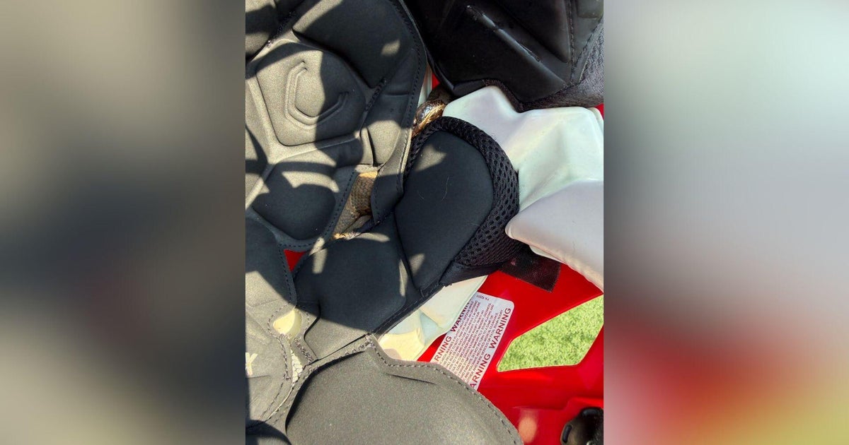 High school football player finds venomous snake inside helmet he was wearing 1 d2dcb82c3d213d2972029be458ef3ee9d6e926d619ad69601b9340f93b354185