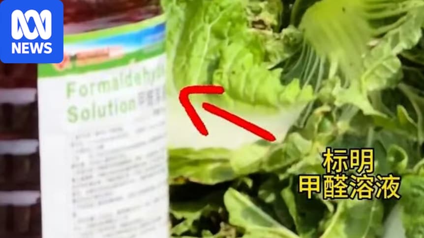 China investigates vegetables dipped in formaldehyde 1 d511924ef504cde65b50660292645f6b5d4024de9aa9b544ba5bbed593d60ac1