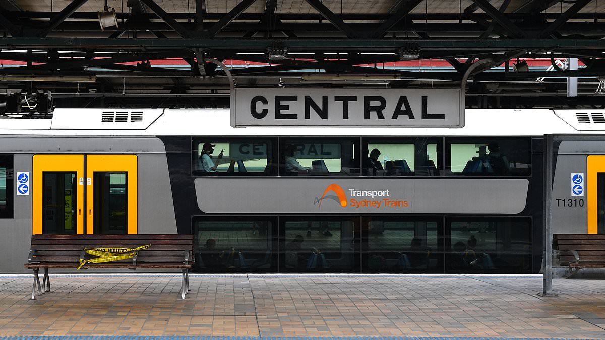 Sydney train network hit by second delay in hours after incident at Central Station 1 d66257882a12bc093ecf02a7ce5b1922549494b64119134150fa483988989320