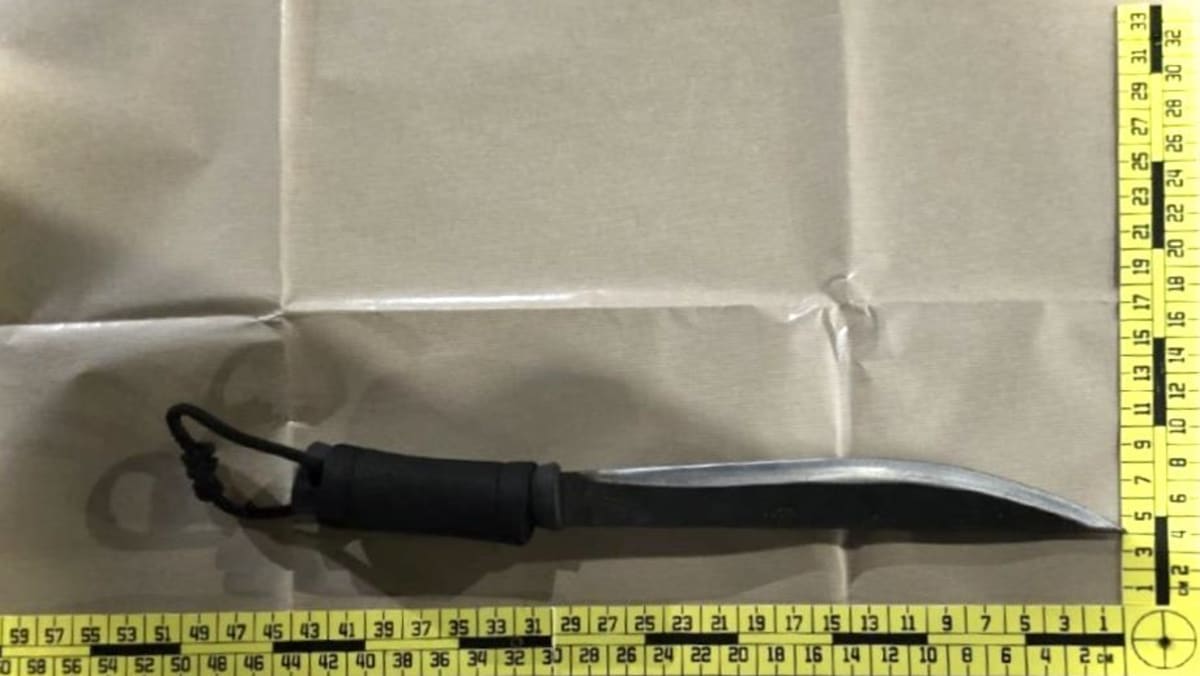 Four arrested after man allegedly abducted, threatened with parang: The victim was made to sit in the passenger seat of his own car and was driven to another location by one of the suspects. #Abduction #CrimeNews #SafetyFirst #LawEnforcement #SingaporeNews 1 d7f8f8b1d6d34360f20b83101b75d31f599e46b8