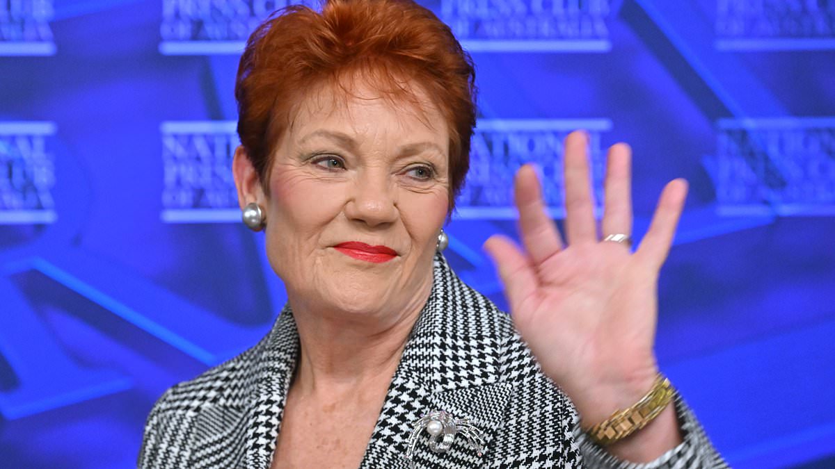 Anthony Albanese delays major migration overhaul again as voters flock to Pauline Hanson's One Nation 1 d85e9d212643f04a14df7b57ecfe17a307ea643ce0f830676d4f8fa023164df0
