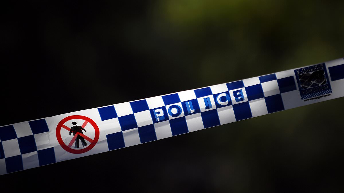 Teenage girl dies after she is found unresponsive at a home in ritzy Sydney suburb - as cops launch urgent investigation 1 df1d03901b7bc3d7a8c634b7d3d2df0b02748209111629d41f1f804954bfd4b7