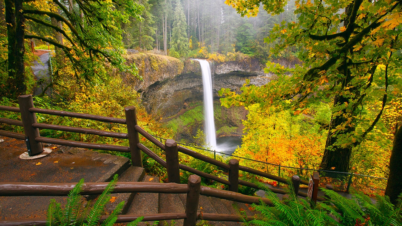 Man, 20, dies in 'horrific accident' after slipping from towering Oregon waterfall 1 ea1caaefe00407193a1ee12b33364464c7631bd92e1e14fd39f533ac740adc76