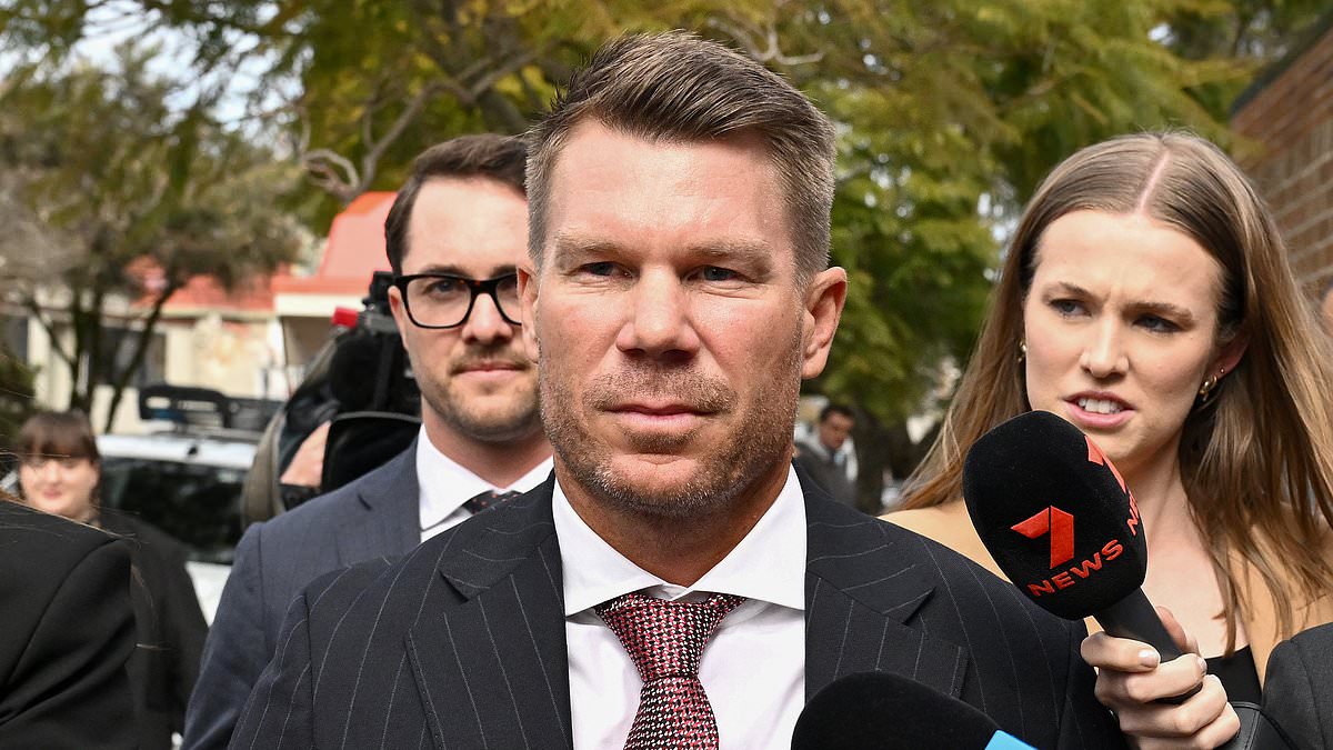 Australia's Ashes villain David Warner blames media onslaught for depriving him of 'commercial opportunities' as cricketer is convicted of drink-driving 1 ef93ab1618f47380f0b8e7b6e55f46d1dc873822b0e85440f33428712f4e2a01