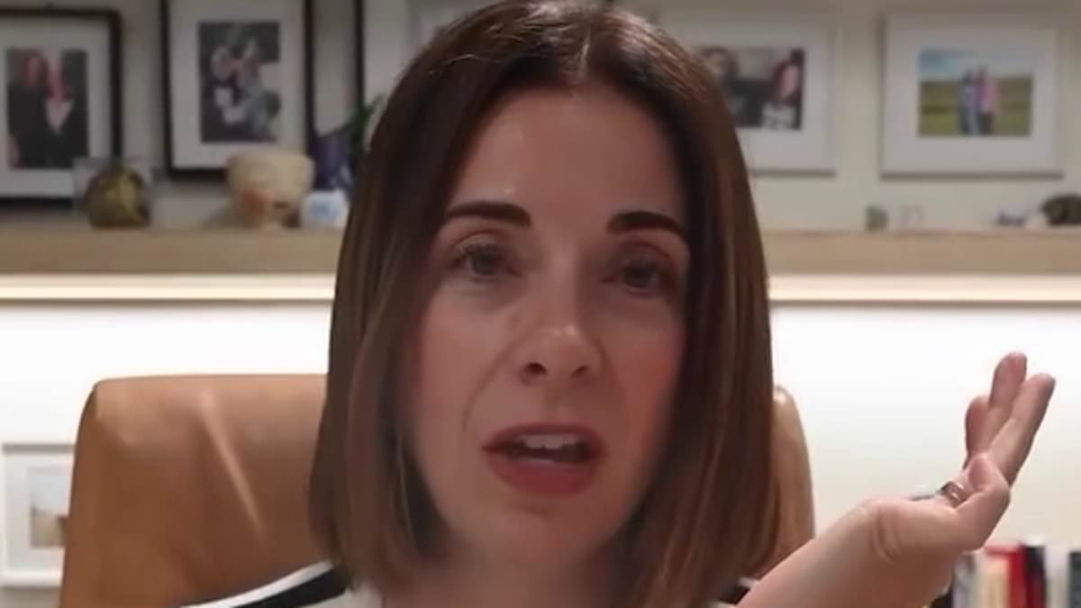 Anika Wells accused of 'patronising' voters by using Ooshies toys to explain the housing crisis locking Australians out of the market 1 eff9c7aa1c1b19519334c0a93cea6d1506d4ff0eddbc2bb00501f2eaddd855f8