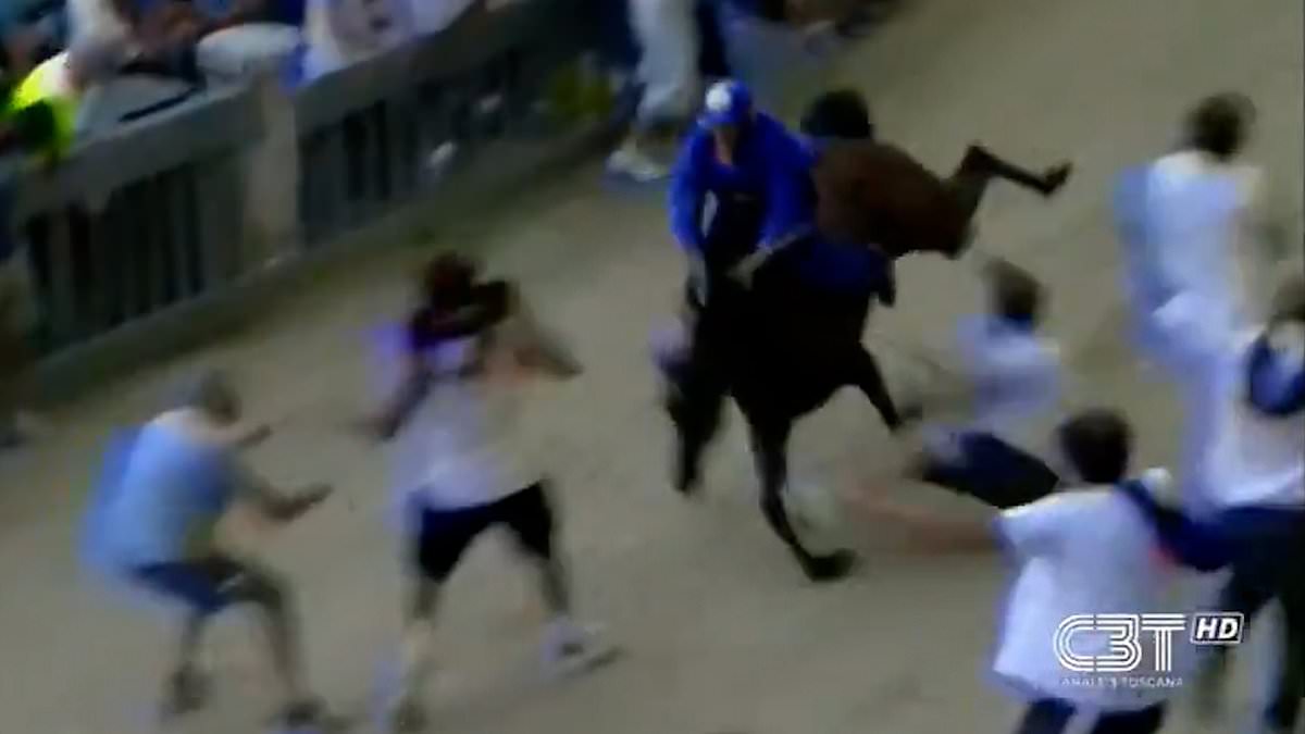 Race horse crashes to the ground and jockey is injured when fans run in front of the animal to celebrate its victory 1 f2eb4d02198db6413f5f18d68555be49c77cf4a253d3e372b165a7f83633119c