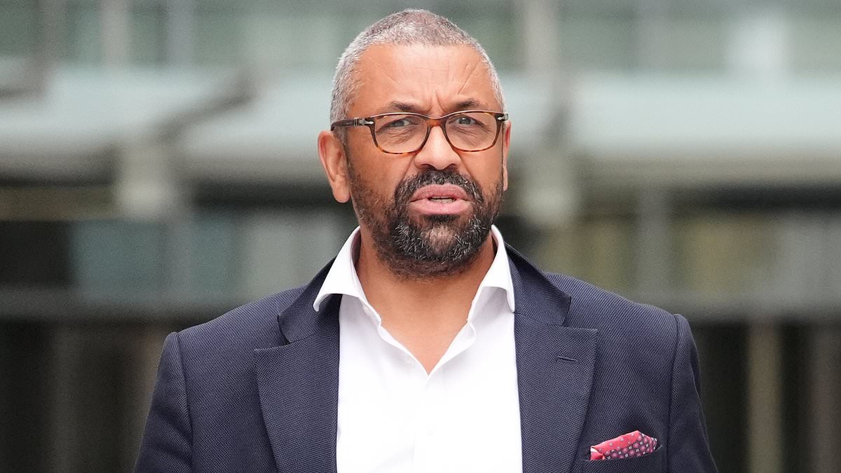 Londoners could get relief from Sadiq Khan's ULEZ push as Tory mayoral contender James Cleverly vows 'full review' 1 f9a5e9d17cddf054f2213d47aa78e1f2262b9637bc6031567701e21eda226c3f