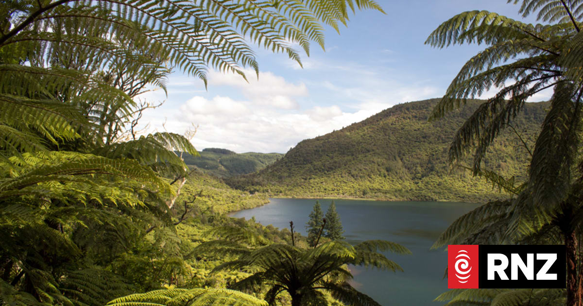 High Court finds Rotorua council broke law in handling of sewerage pipe near sacred lake 1 fd5665d007c64a016d735c54b8c7ad1515b327a6321d92393d6a121c3541882f