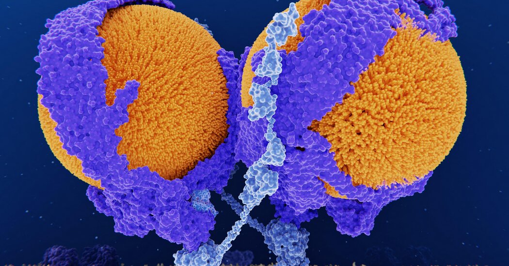 An Experimental Single-Time Treatment Slashed Cholesterol for a Year 1 ff985bfd8d52baa9f4cf153c25b9358e99bbfa1323b9ea8500756319bdfcd5ab