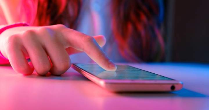 Survey says Saskatchewanians support social media limits for youth: province 1 0159574ca2d02312030a4de924799cebf499531b8a1f78b55e6d933c7e0f5da6
