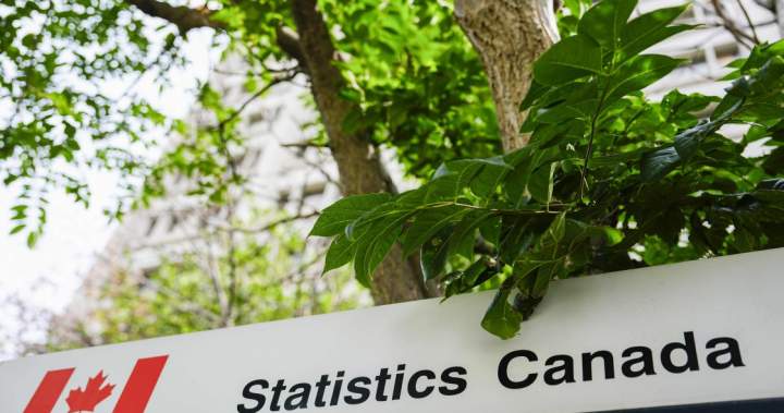 Canada’s 2026 census participation was among highest ever, says StatCan 1 0195292749abf4a136736004f0b3f093fcddcb3ba91c42a0b959304ab071e261