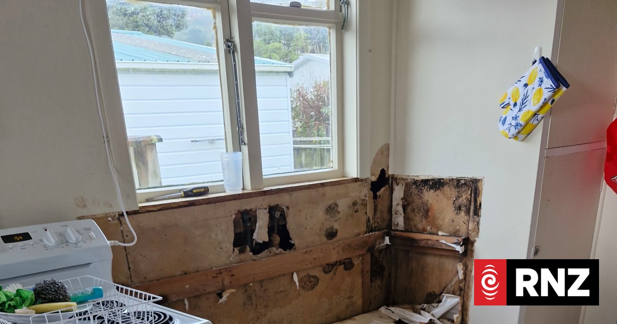 Rental with soggy floorboards and leaky roof among first to jump tribunal queue 1 02d97a93675472a5183ca691d0c0fd8f038613cfc98ba145e38c8d4496c2dbb1