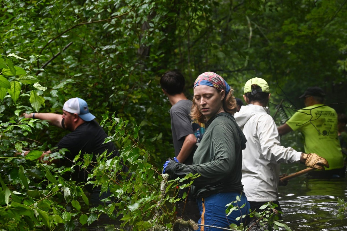 To bring back historic herring populations, volunteers get down and dirty 1 0a7f411dafe361a9bd430dd4b7a1df56fa8563fe1472a0974413f9e064c107cd