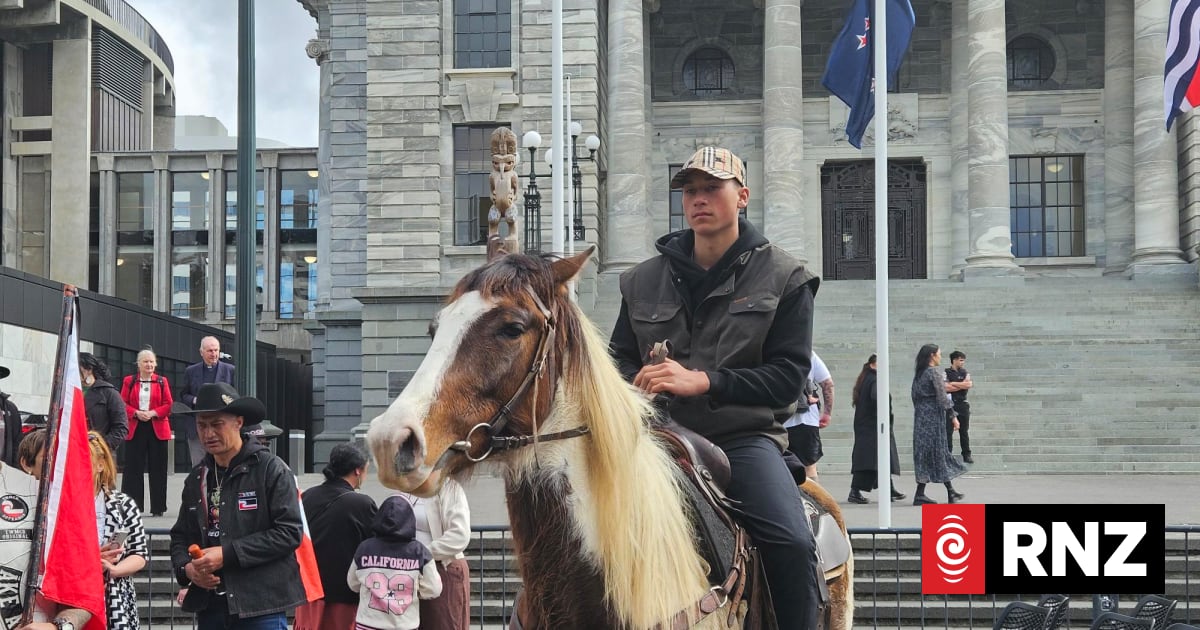 Horse riders bring 50,000-strong Treaty petition to Parliament 1 16a07140766854a50a29445db35c2e220aef2e8fe121f914ab525fa6d071d585