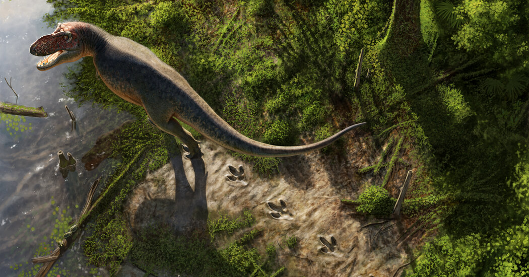 A T. Rex Walked Here: Teacher Finds Rare Footprints in North Dakota 1 181bfd7788d77e3c7bd2ac6a5a5351d590d4a6c6d837677d15d4e526fb2ba504