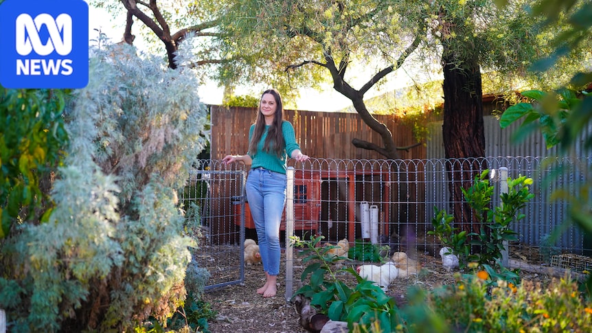 My top five spring gardening tips for a plentiful harvest 1 1cba922616a7110b8ecb81f6b706844fcf7f224d8cd3bc5a570e57b309876069