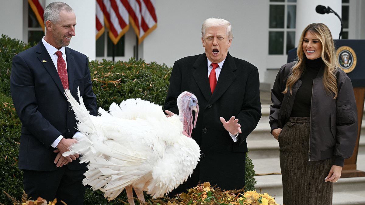 Trump's controversial plan to pardon 250 jailbirds in one go is very much alive. His heart says 'WHAT A GESTURE!' His advisers are not so sure... 1 1efbb3eab0551cbb2acc8715c4372390e9fd1d455b6b997cd28e84797103c379