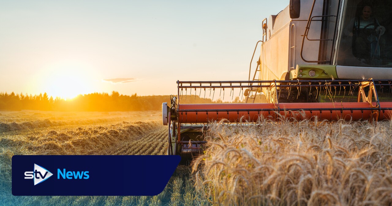 What does England’s worst harvest mean for food prices in Scotland? 1 2064f73c0a53363cac17b3f1f8794165e710a3ba9b9f3cf295496880b53a0ffc
