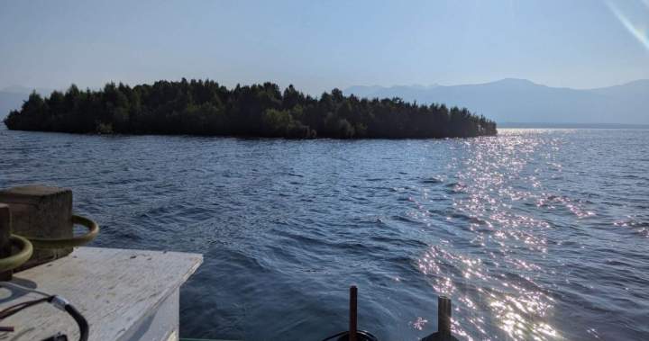 An island is floating around a B.C. reservoir — and it keeps disappearing 1 225453de19a942f3943cc1699ecc2d2afa5768bb53bd873cdd67fa10cbce2f2a