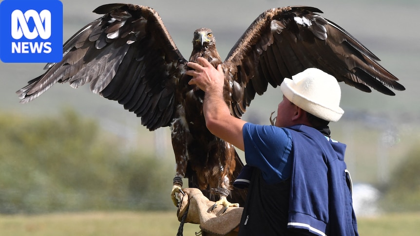 What are the World Nomad Games and why are Australians competing? 1 239ac366a23557ff0502a9ce3800b96e4962f4838ee9a5b9f00a4bc2c9a22e7a