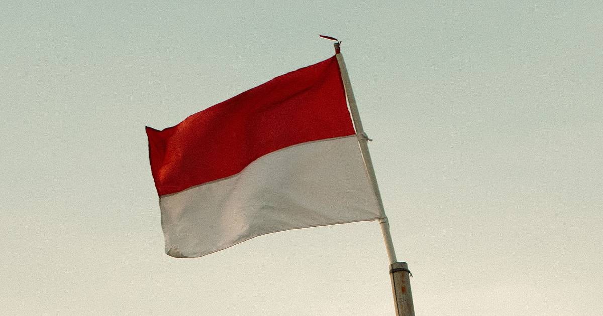 Indonesia names Toba Pulp Lestari as suspect in alleged tax fraud case 1 25a8ff0a2ead338d433e9d401e693397314ecef2885d9bf657997df9f8e7c974