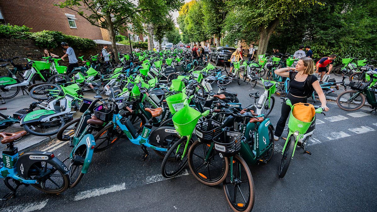 Why we're all saddled with the Lime bike pavement pests: Riders evade any penalties for flouting parking rules 1 25cf9c54b14e5e8b8ffb3af55aec4475456e49bb72a81472d1e3ab23b769b7b4