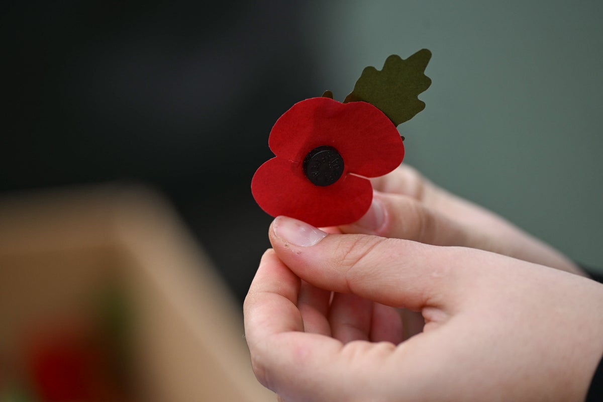 Bereaved armed forces families granted free rail travel for Remembrance weekend 1 277af32ebb1c4965c8acd26b5019575c38a75519cec1a911f0c1efcedd6bb1e4