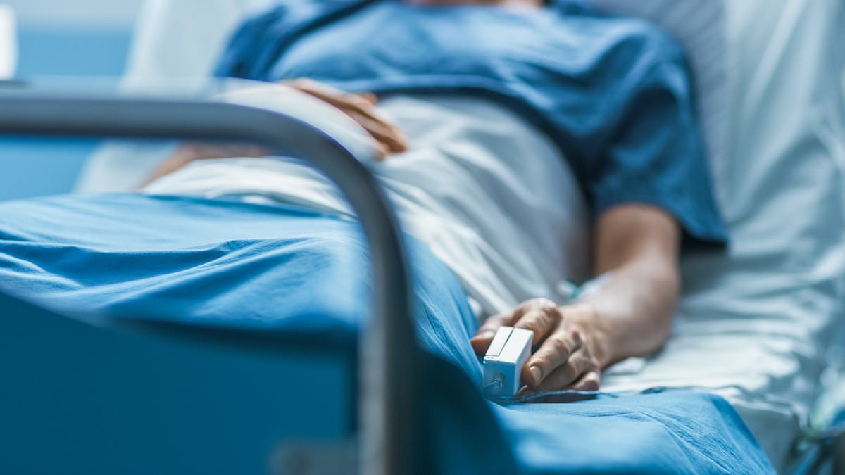 Terminally ill patients are being condemned to 'undignified' deaths and poor quality care in NHS hospitals 1 285477229bd2a67dbd9162724d335942c7a8f960d96be5ee46683ad9c424920c