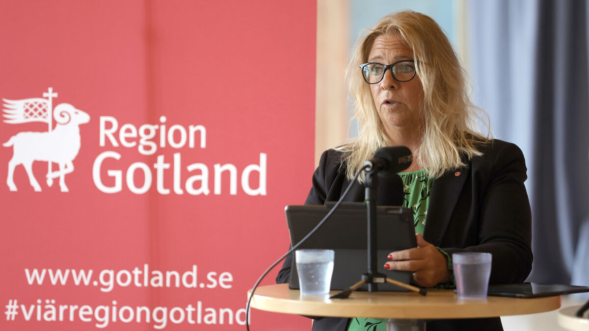 Meit Fohlin declines Riksdag seat, hands mandate to Filip Reinhag 1 2df579f30db5ef4e2319d6d585a0864cdf71562a5c3317bedcf946f73f22dc35