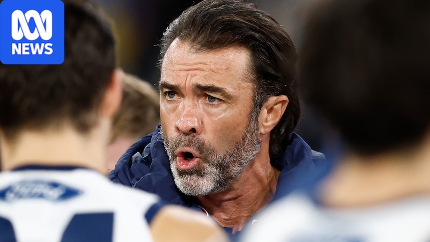 Cats coach speaks for first time since club's concussion fine 1 3058564d60928ed1555e621401bdb3a491d6da780d69c31b60a494b71a329d39
