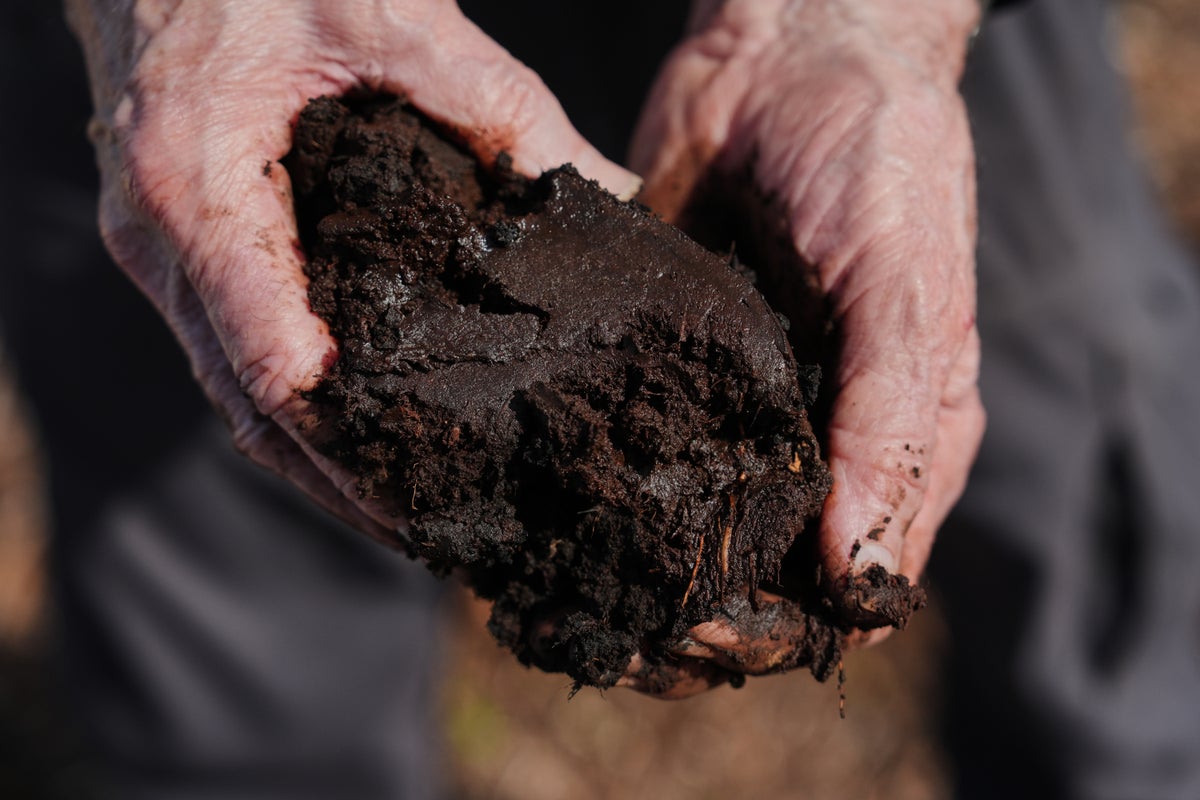 Takeaways from AP story on a major effort to restore peatland in North Carolina 1 3470300782b9823b6fa63fc03505fa8d0f8ebce8e85278c2fddfcb020ac8a606