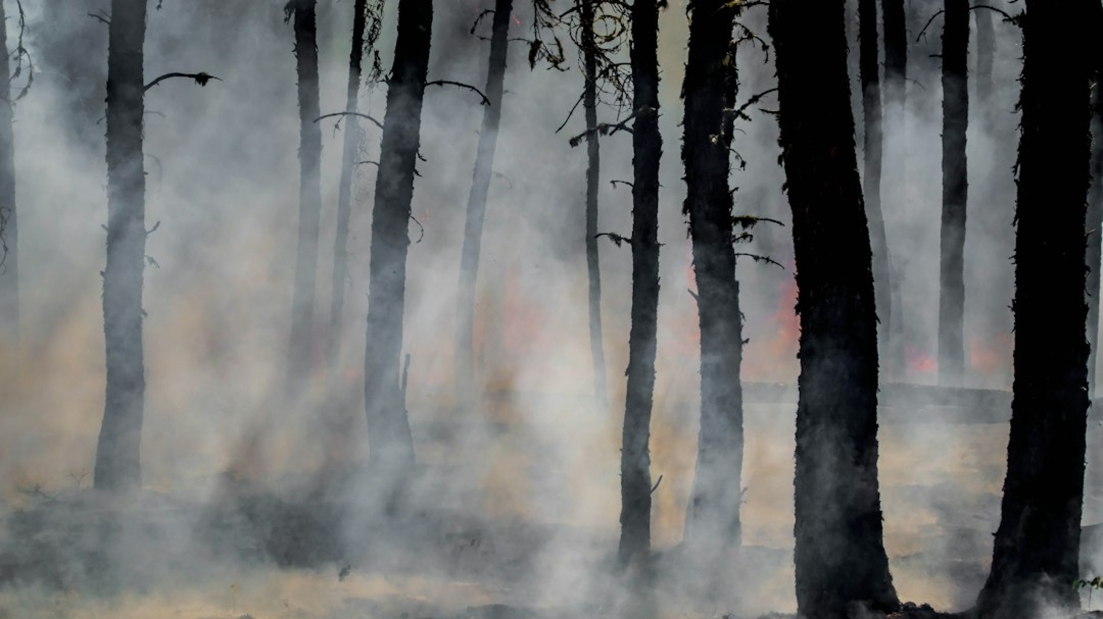 Meridian Hydra Fire: Map, evacuation updates as wildfire surpasses 1,000 acres in Bosque County, Texas 1 375dc213a52b9a9e29abff717665be108cb77301a3ec5552086aa079debb720f