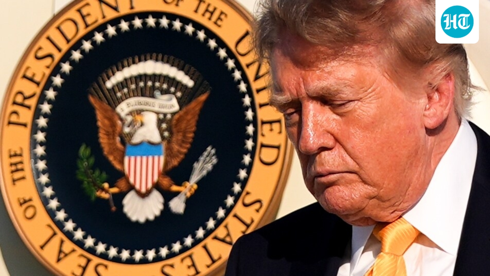 Did Trump cut down trees at the White House? Here's why dozens of trees are being removed across Washington, DC 1 37a036383ae29445152ac9c9a425635c3a7cba987bf5bc1d746b79ed402e8376