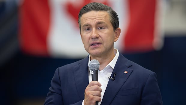 Poilievre tells U.S. TV Canadians are 'wounded' and 'confused' to be in America's crosshairs 1 3a30f077a0cea86b26082cd1545670c47c0d70ebd42bd26342f5b01aed9a2a79