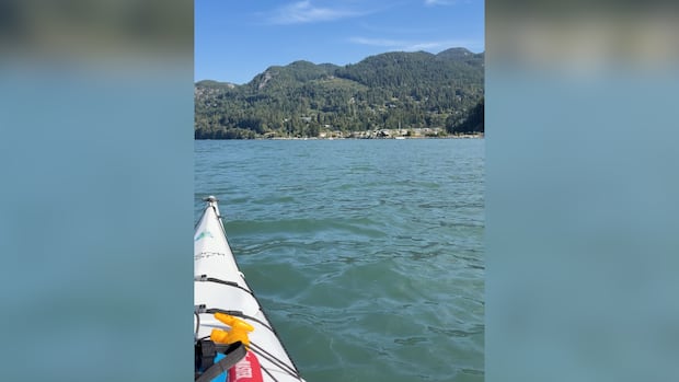 Maritime experts urge use of verified weather reports after kayaker capsizes in B.C. waters 1 3c9464f9f735deed96c58e84f70f326206e59336479ed2ea6ec69a353c821dca