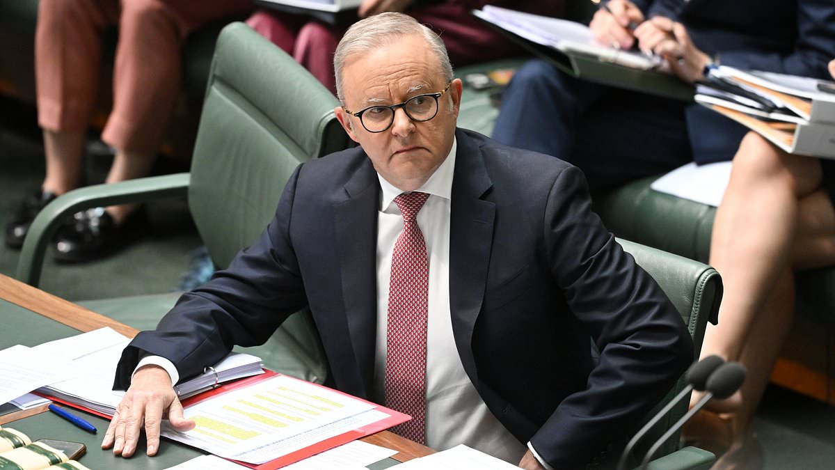 Albanese government triggers 'alarm bells' after damning report reveals majority of $560million grants went to Labor seats 1 3e69a3357908578c36ba481160ec90ae4e990ae14aa03e897bfc733ee1bb4d33