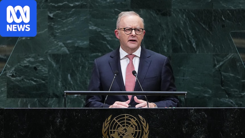 Albanese laments 'breakdown' of global rules in major UN speech 1 3ea7026828d9f9cccd3764ba01ac457ea84638104e4f27499e9c9ac066649276